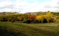 /album/litomerice/bile-strane-3-jpg/